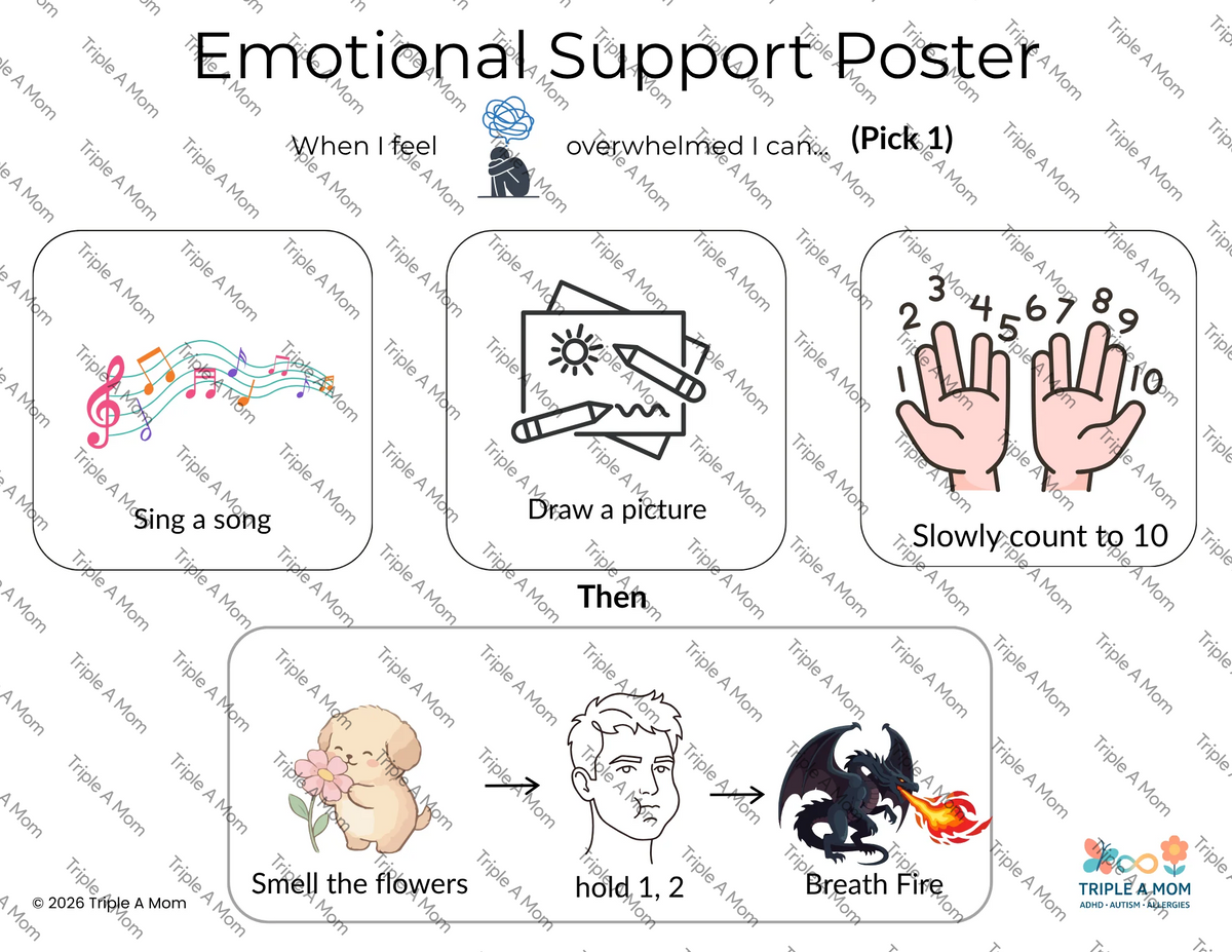 Emotional Support poster with strategies for feeling overwhelmed
